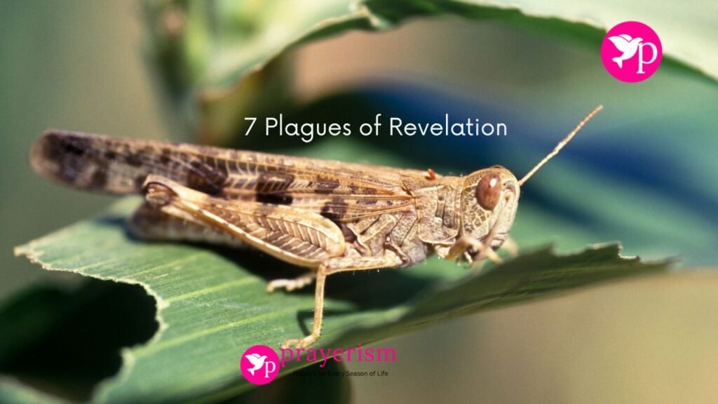 7 Plagues of Revelation