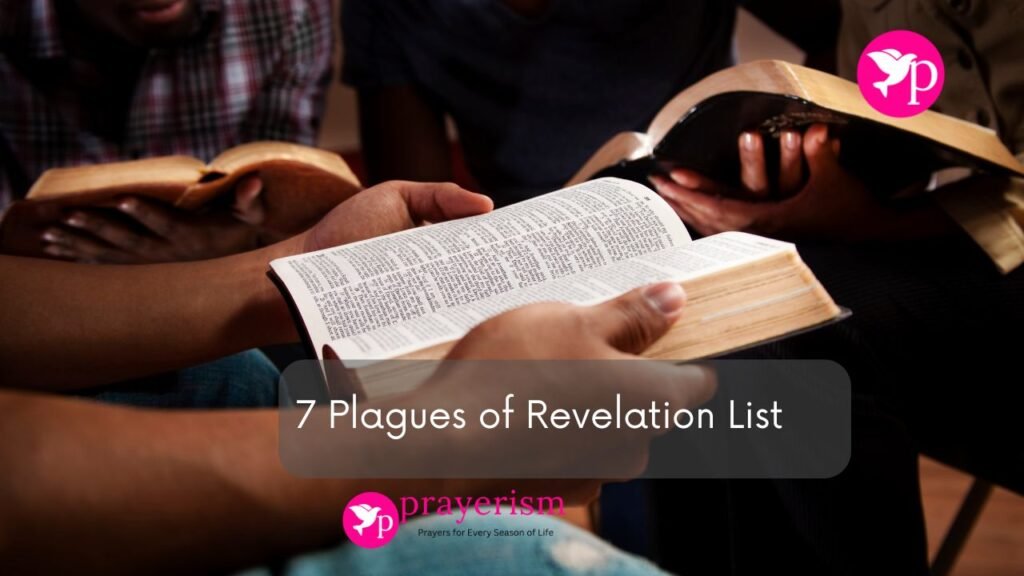 7 Plagues of Revelation