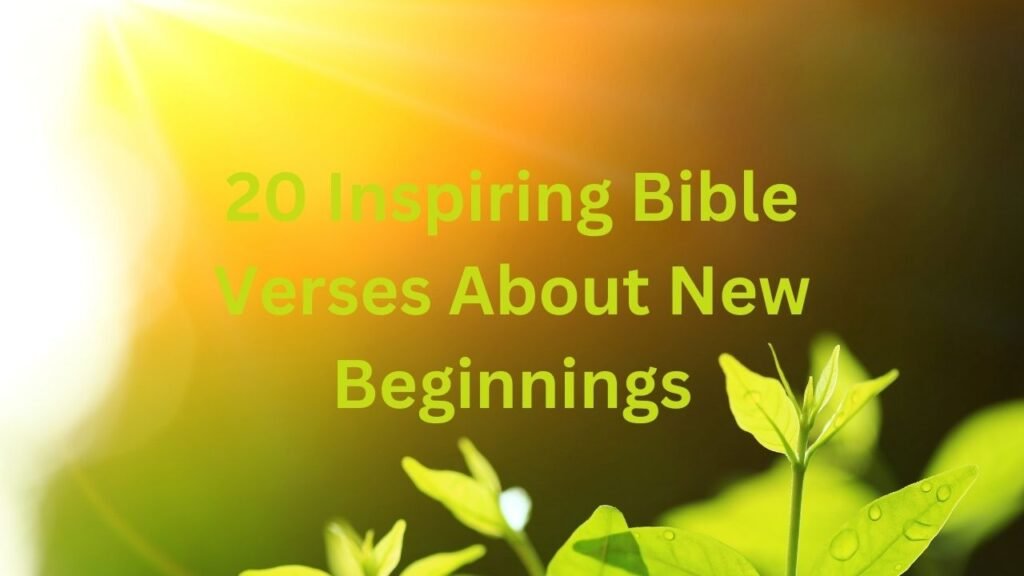 20 Inspiring Bible Verses About New Beginnings