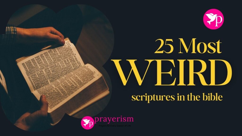 25 Most weird scriptures in the bible