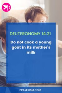 Don’t Boil a Goat in Its Mother’s Milk