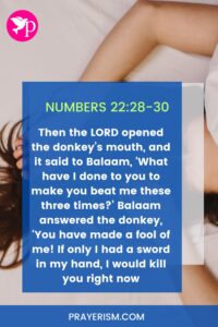 Balaam’s Talking Donkey