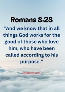 Romans 8