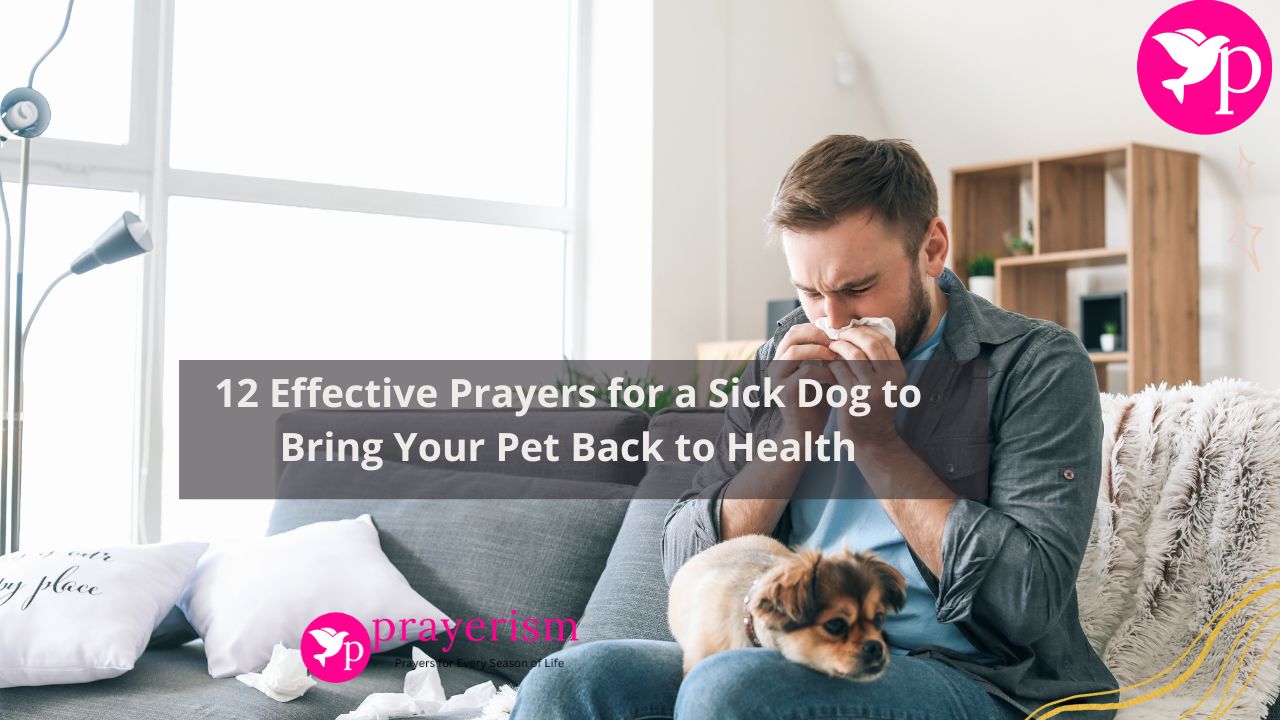 Prayers for a Sick Dog
