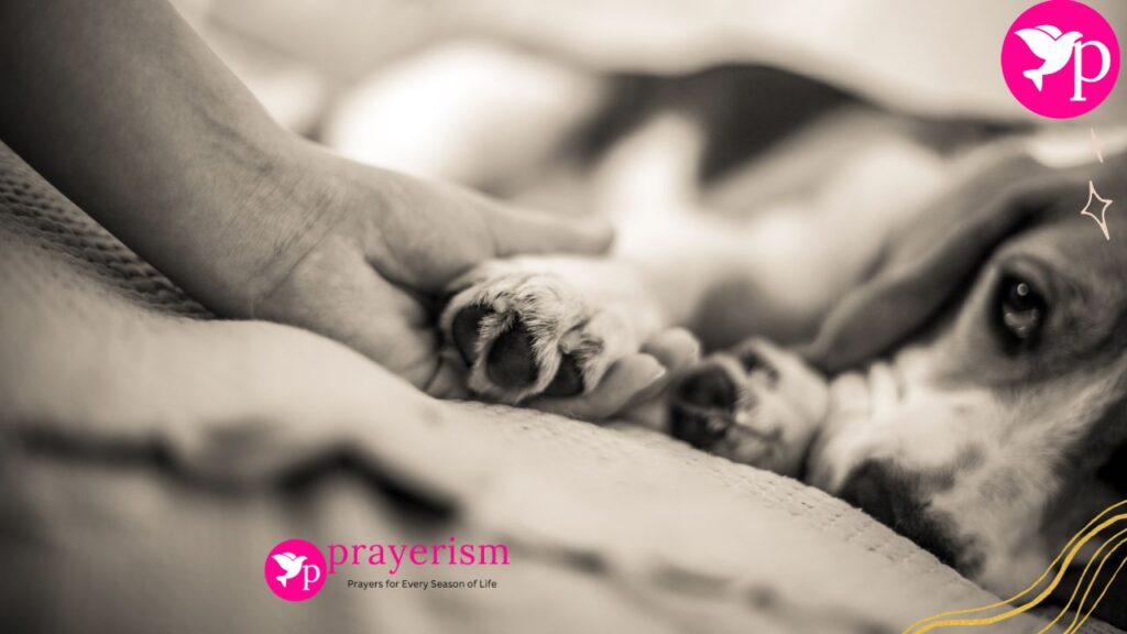 12 Effective Prayers for a Sick Dog to Bring Your Pet Back to Health