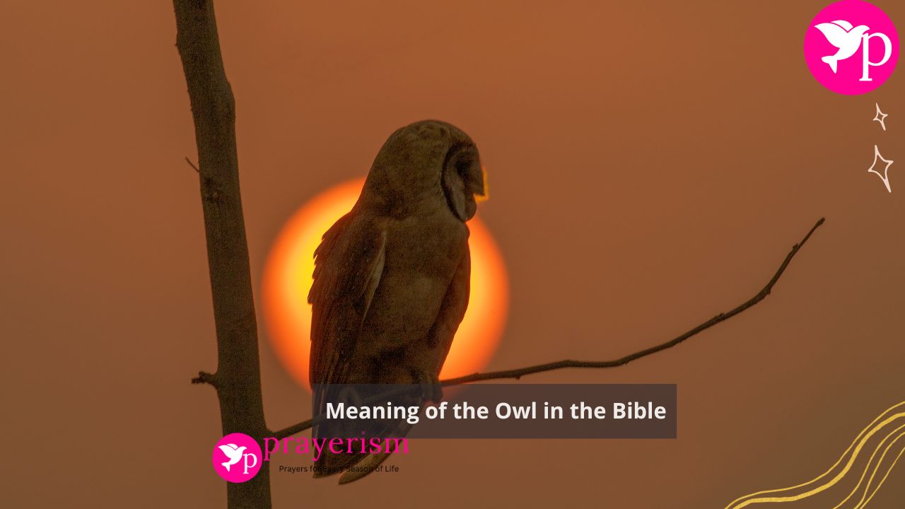 Meaning of the Owl in the Bible