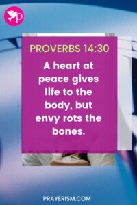 Proverbs 14:30