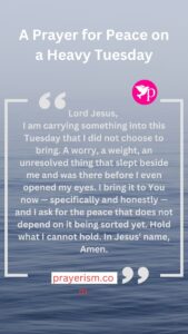 A Prayer for Peace on a Heavy Tuesday