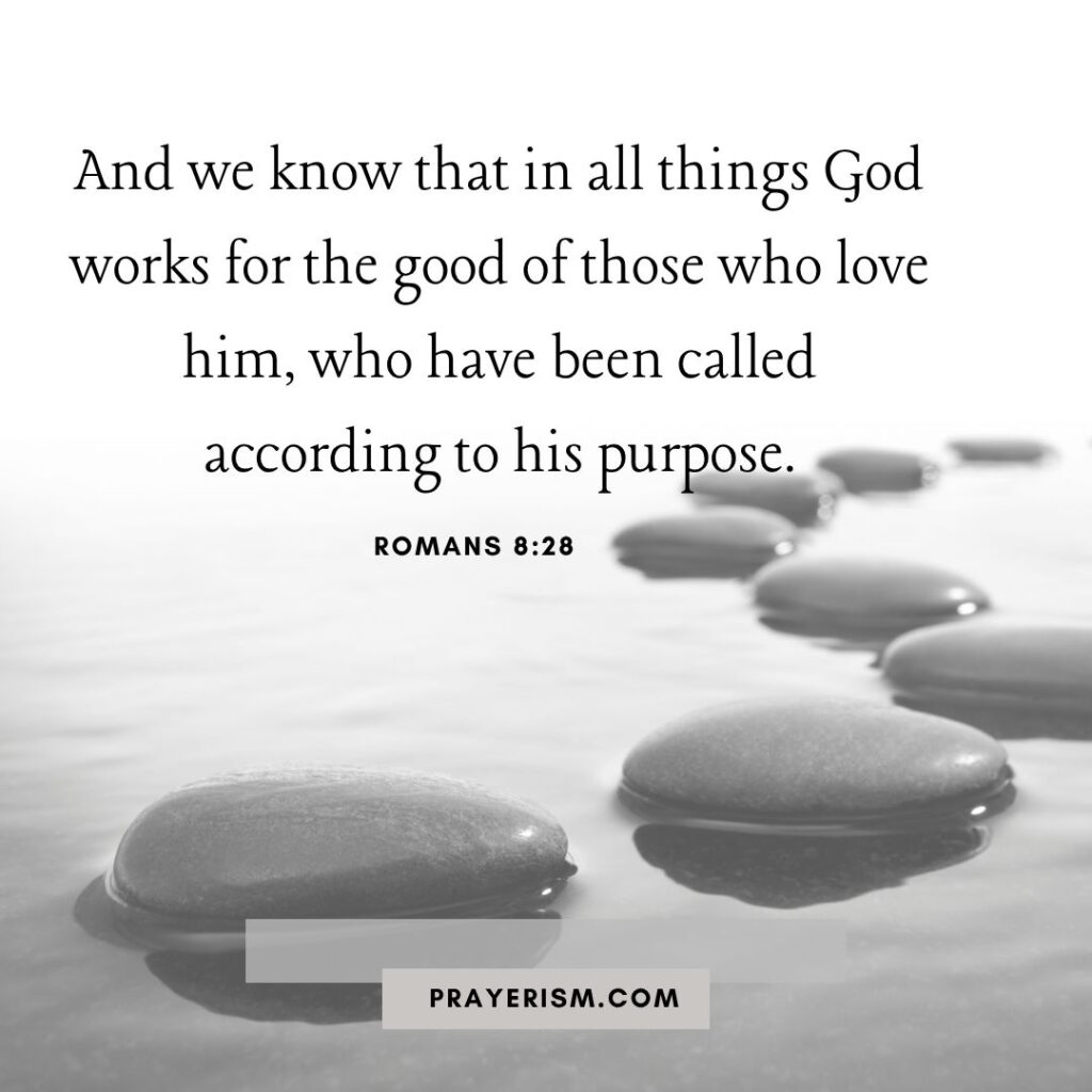 Romans 8