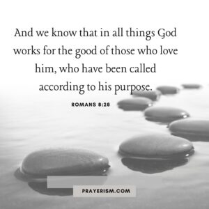 Romans 8